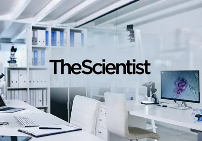 Time for a Change: Evidence-Based Approaches for the Biological Safety Assessment of Medical Devices